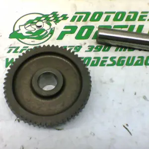 Foto de Piñón del motor de arranque Suzuki GS-500-F referencia 208-24-48369 foto 3