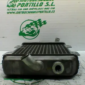 Foto de Radiador Peugeot ELYSTAR 125 referencia 354-20-43044 foto 8