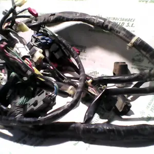 Foto de Instalación electrica Honda Forza 250 referencia 234-18-16146