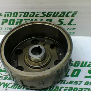 Foto de Plato magnetico Honda S-wing 125 referencia 241-19-22728