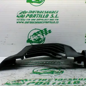 Foto de Protector de radiador Yamaha Xenter 125 referencia 446-22-40587 foto 5