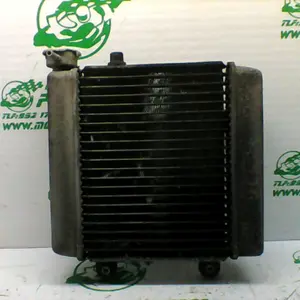 Foto de Radiador Honda Pantheon 125 4T referencia 22-17-36011