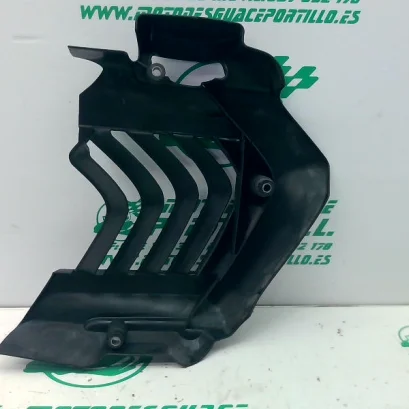 Foto de Protector de radiador Yamaha Xenter 125 referencia 446-22-40587