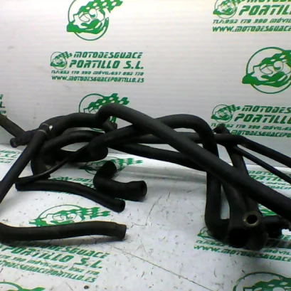 Foto de Manguitos de agua Vespa GT 200 L referencia 138-22-34454