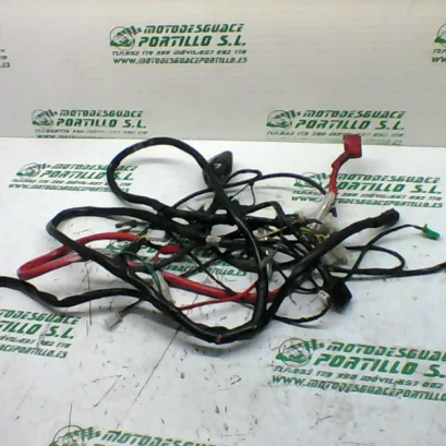 Foto de Instalación electrica Peugeot tweet 125 referencia 419-22-40540