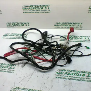 Foto de Instalación electrica Peugeot tweet 125 referencia 419-22-40540