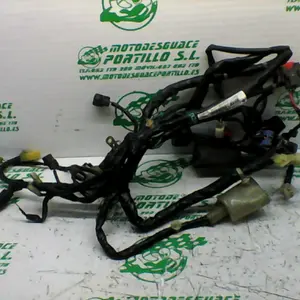 Foto de Instalación electrica Honda Pcx 125 referencia 407-22-40841 foto 4
