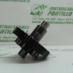 Foto de Piñón del motor de arranque Piaggio X9 250 referencia 44-18-12509
