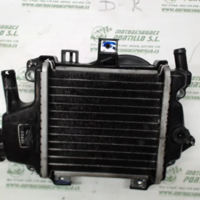 Foto de Radiador Honda Pcx 125 referencia 181-23-46198
