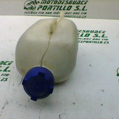 Foto de Bote expansor Peugeot Satelis 125 referencia 240-19-36133