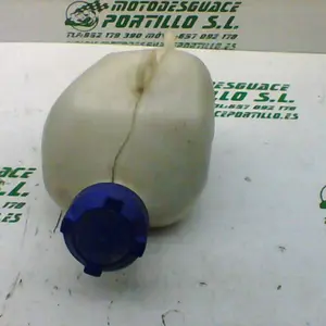 Foto de Bote expansor Peugeot Satelis 125 referencia 240-19-36133 foto 1