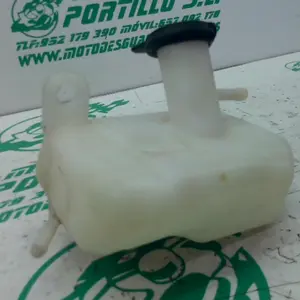 Foto de Bote expansor Honda Pcx 125 referencia 407-22-40873 foto 12