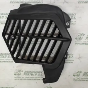 Foto de Protector de radiador Honda Pcx 125 referencia 181-23-46269 foto 19