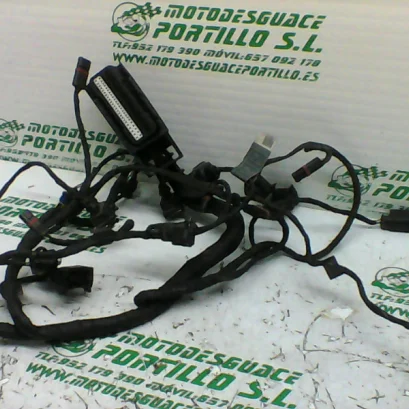 Foto de Instalación electrica del motor BMW F 800 ST referencia 312-19-24445