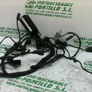 Foto de Instalación electrica del motor BMW F 800 ST referencia 312-19-24445