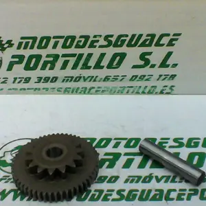 Foto de Piñón del motor de arranque Honda CBF 125 M referencia 166-22-34876 foto 8