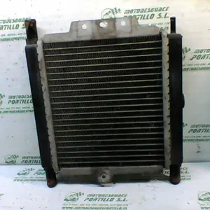 Foto de Radiador Peugeot Satelis 125 referencia 240-19-36136 foto 2