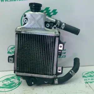 Foto de Radiador Honda FORZA 125 referencia 396-25-49013 foto 5