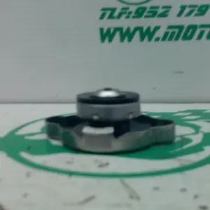 Foto de Tapon del radiador Kawasaki Z 900 referencia 6-24-47568 foto 1