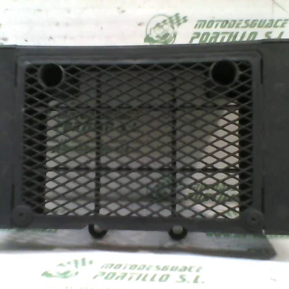 Foto de Protector de radiador Daelim Daystar 125 referencia 43-24-48227