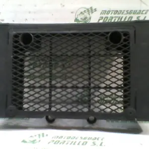 Foto de Protector de radiador Daelim Daystar 125 referencia 43-24-48227