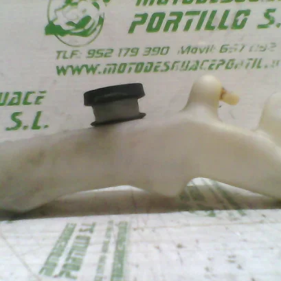 Foto de Bote expansor Honda Foresight 250 referencia 231-20-42630