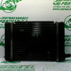 Foto de Radiador Kymco Grand dink 125 referencia 42-20-33999 foto 6