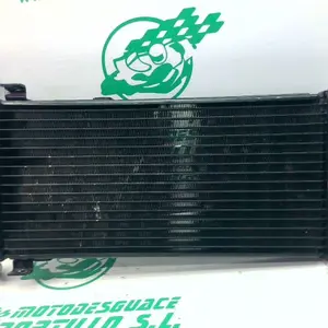 Foto de Radiador Benelli MACIS referencia 324-22-39838 foto 2
