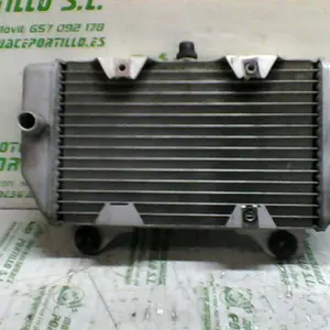 Foto de Radiador Honda Forza 250 referencia 234-18-16124 foto 3