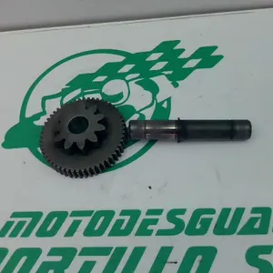 Foto de Piñón del motor de arranque Yamaha XMAX 250 referencia 213-19-37386 foto 14