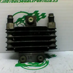 Foto de Radiador Daelim Roadwin 125 i referencia 230-19-38091 foto 3