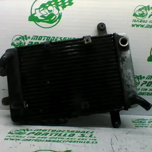 Foto de Radiador Suzuki BURGMAN 400 referencia 307-19-33317 foto 2