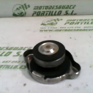 Foto de Tapon del radiador Kymco Grand dink 125 referencia 127-17-9682