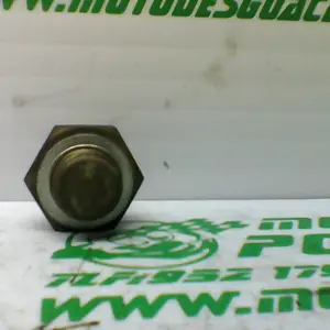 Foto de Sensor de temperatura Yamaha TEOS 150 referencia 154-20-29554 foto 6