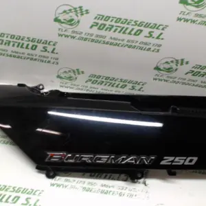 Foto de Carcasa lateral trasera derecha Suzuki Burgman 250 i referencia 178-16-1948