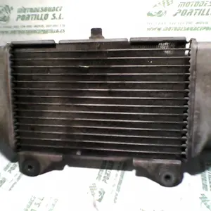 Foto de Radiador Honda Forza 250 referencia 234-18-16124