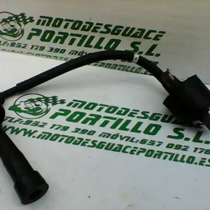 Foto de Bobina Hyosung Aquila 250 referencia 10-18-11183 foto 9