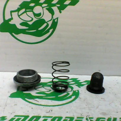 Foto de Tapon vaciado de aceite Kymco Bet&win 125 referencia 251-19-36863