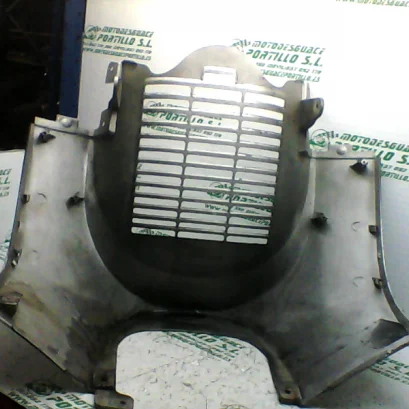 Foto de Protector de radiador Suzuki BURGMAN 400 referencia 307-19-24943