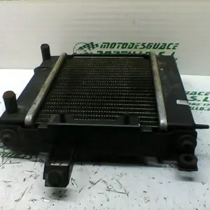 Foto de Radiador Kymco Bet&win 125 referencia 321-19-38833 foto 10