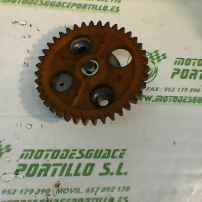 Foto de Bomba de aceite Peugeot Tweet 50 4T referencia 269-23-45612