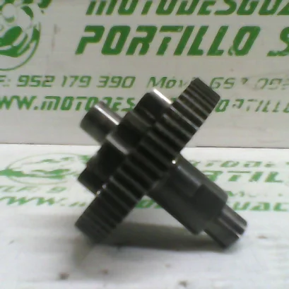 Foto de Piñón del motor de arranque Derbi RAMBLA 300 referencia 167-22-37721