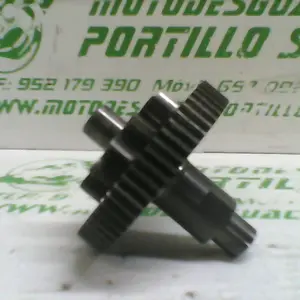 Foto de Piñón del motor de arranque Derbi RAMBLA 300 referencia 167-22-37721