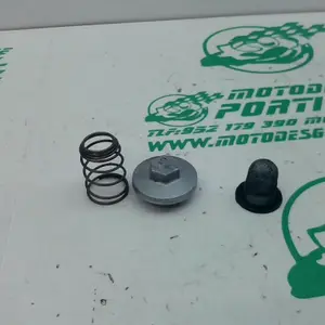 Foto de Tapon vaciado de aceite Kymco Grand dink 125 referencia 166-20-33147 foto 10