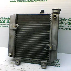 Foto de Radiador Honda S-wing 125 referencia 241-19-22686 foto 2