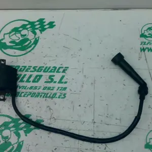 Foto de Bobina TGB X Motion 250 referencia 219-23-45561 foto 3