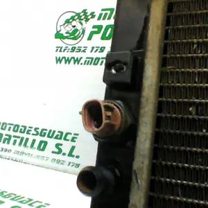 Foto de Radiador Sym CITYCOM 300 I referencia 246-19-22953 foto 2