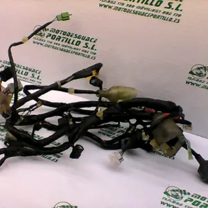 Foto de Instalación electrica Honda Pcx 125 referencia 407-22-40841 foto 3