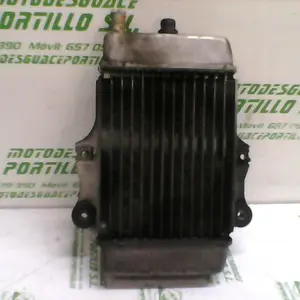 Foto de Radiador Honda Dylan 125 referencia 21-18-11534 foto 5