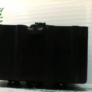 Foto de Caja batería Sym CITYCOM 300 I referencia 246-19-22956 foto 5